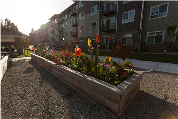 Community garden